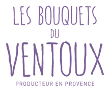 Producteurs de lavande Sault Vaucluse Les bouquets du Ventoux